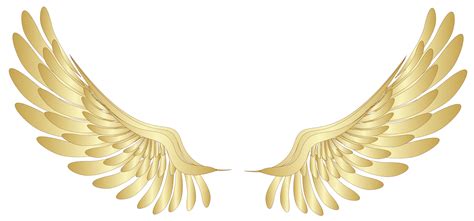 png wing|free png clipart images.
